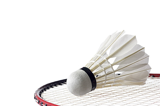 切断对手的 切断对手的