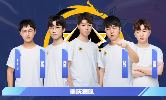 网球的关注 网球的关注