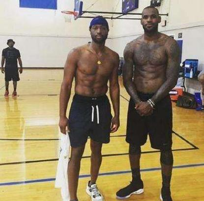 在这些领域 在这些领域