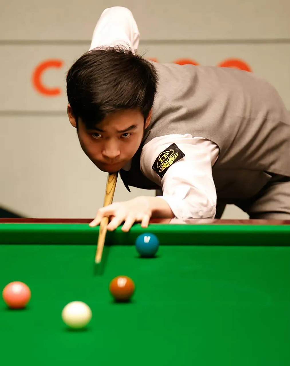 寄予厚望 寄予厚望